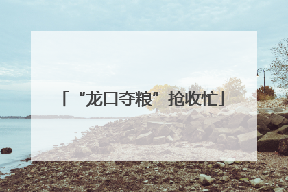 “龙口夺粮”抢收忙