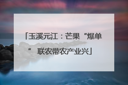 玉溪元江：芒果“爆单” 联农带农产业兴