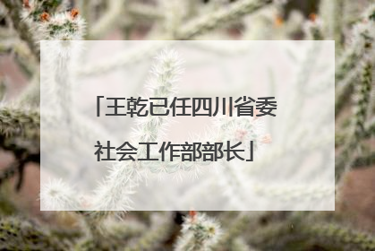 王乾已任四川省委社会工作部部长