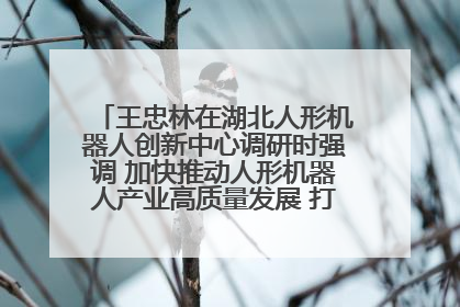 王忠林在湖北人形机器人创新中心调研时强调 加快推动人形机器人产业高质量发展 打造具有全国影响力的研发创新基地