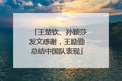 王楚钦、孙颖莎发文感谢，王励勤总结中国队表现