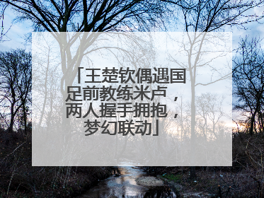 王楚钦偶遇国足前教练米卢，两人握手拥抱，梦幻联动