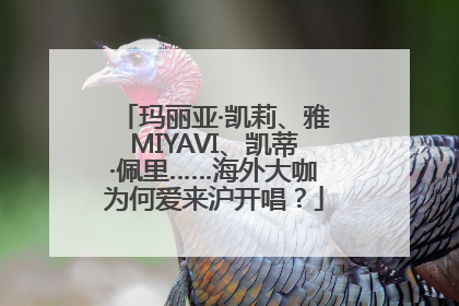 玛丽亚·凯莉、雅MIYAVI、凯蒂·佩里……海外大咖为何爱来沪开唱？