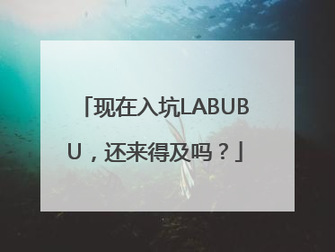 现在入坑LABUBU，还来得及吗？