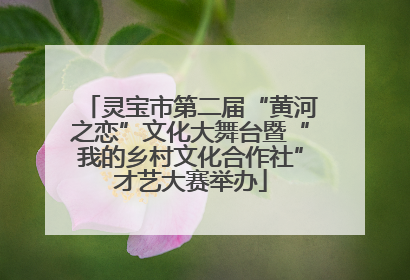 灵宝市第二届“黄河之恋”文化大舞台暨“我的乡村文化合作社”才艺大赛举办