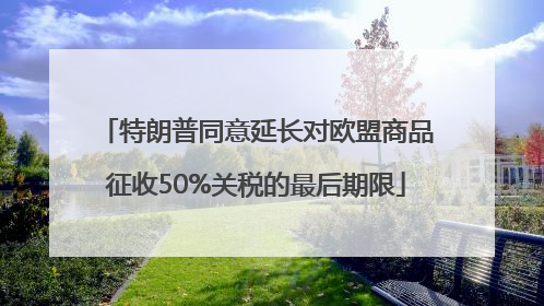 特朗普同意延长对欧盟商品征收50%关税的最后期限