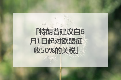特朗普建议自6月1日起对欧盟征收50%的关税