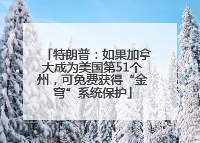 特朗普：如果加拿大成为美国第51个州，可免费获得“金穹”系统保护