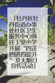 牡丹区牡丹街道办事处社区卫生服务中心前往丁堂小学开展“四送四进四提升”及无烟日宣传活动