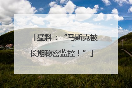 猛料：“马斯克被长期秘密监控！”