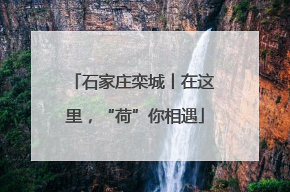 石家庄栾城丨在这里，“荷”你相遇
