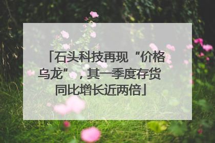 石头科技再现“价格乌龙”，其一季度存货同比增长近两倍