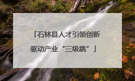 石林县人才引领创新驱动产业“三级跳”