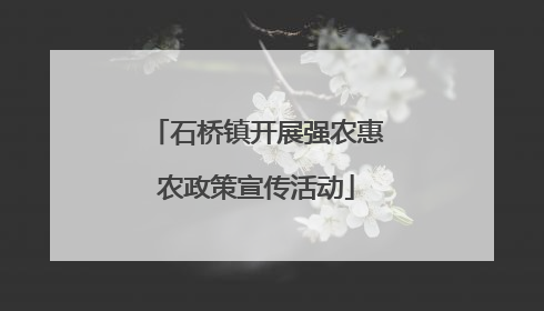 石桥镇开展强农惠农政策宣传活动