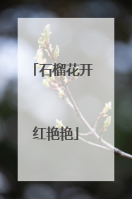 石榴花开红艳艳