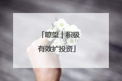 瞭望｜积极有效扩投资