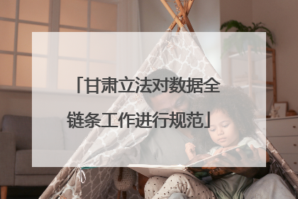 甘肃立法对数据全链条工作进行规范