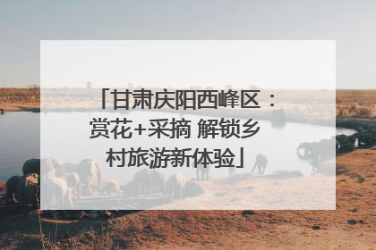 甘肃庆阳西峰区：赏花+采摘 解锁乡村旅游新体验