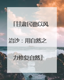 甘肃民勤以风治沙：用自然之力修复自然