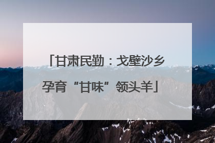 甘肃民勤：戈壁沙乡孕育“甘味”领头羊