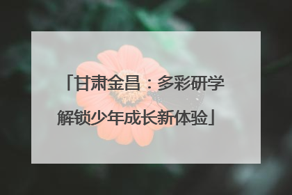甘肃金昌：多彩研学解锁少年成长新体验