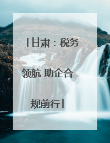 甘肃：税务领航 助企合规前行