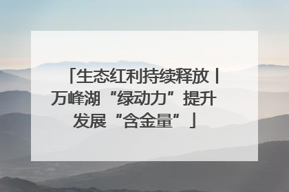生态红利持续释放丨万峰湖“绿动力”提升发展“含金量”