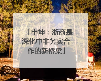 申坤：浙商是深化中非务实合作的新桥梁