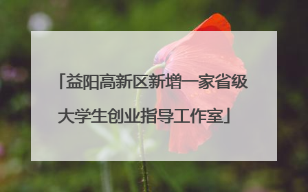 益阳高新区新增一家省级大学生创业指导工作室