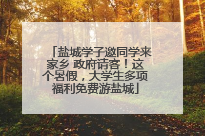 盐城学子邀同学来家乡 政府请客！这个暑假，大学生多项福利免费游盐城