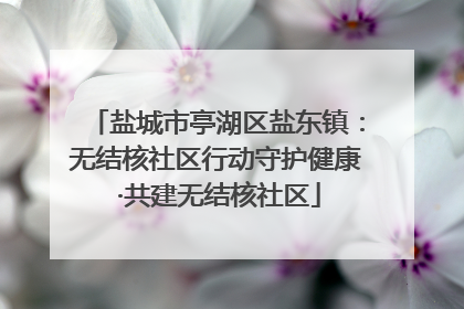 盐城市亭湖区盐东镇：无结核社区行动守护健康 ·共建无结核社区