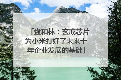 盘和林：玄戒芯片为小米打好了未来十年企业发展的基础
