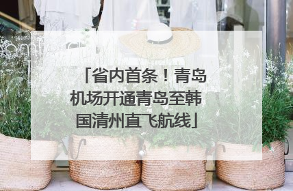 省内首条！青岛机场开通青岛至韩国清州直飞航线