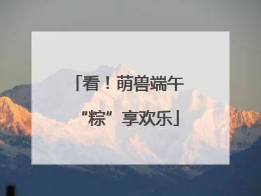 看！萌兽端午“粽”享欢乐