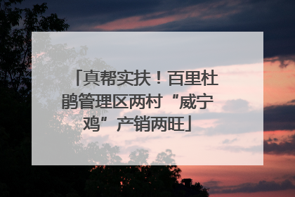 真帮实扶！百里杜鹃管理区两村“威宁鸡”产销两旺