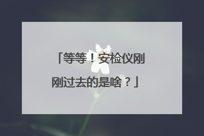 等等！安检仪刚刚过去的是啥？