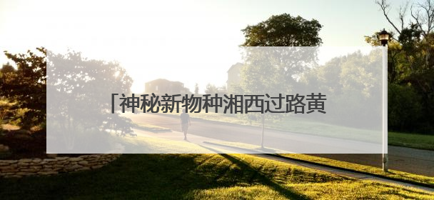神秘新物种湘西过路黄，有望成城市园林“新宠” | 小叶子游园记