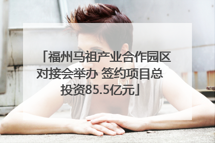 福州马祖产业合作园区对接会举办 签约项目总投资85.5亿元