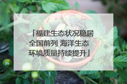 福建生态状况稳居全国前列 海洋生态环境质量持续提升
