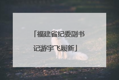 福建省纪委副书记游宇飞履新