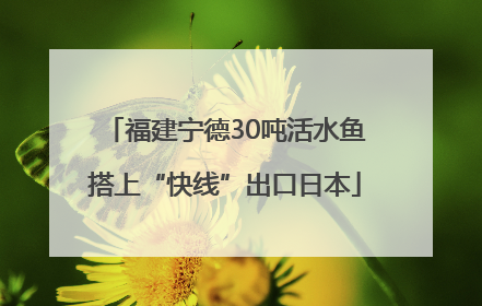 福建宁德30吨活水鱼搭上“快线”出口日本