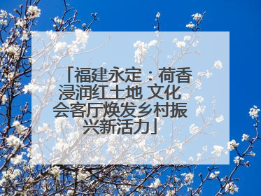 福建永定：荷香浸润红土地 文化会客厅焕发乡村振兴新活力
