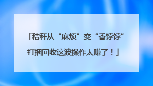 秸秆从“麻烦”变“香饽饽” 打捆回收这波操作太赚了！
