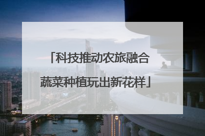 科技推动农旅融合 蔬菜种植玩出新花样