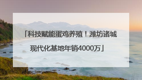 科技赋能蛋鸡养殖！潍坊诸城现代化基地年销4000万