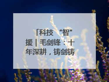 科技 “智”援｜毛剑锋：十年深耕，铸剑铸造创新之路