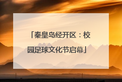 秦皇岛经开区：校园足球文化节启幕