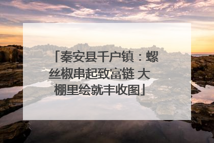 秦安县千户镇：螺丝椒串起致富链 大棚里绘就丰收图
