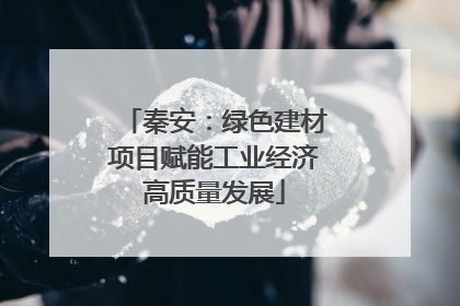 秦安：绿色建材项目赋能工业经济高质量发展
