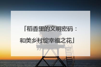 稻香里的文明密码：和美乡村绽幸福之花